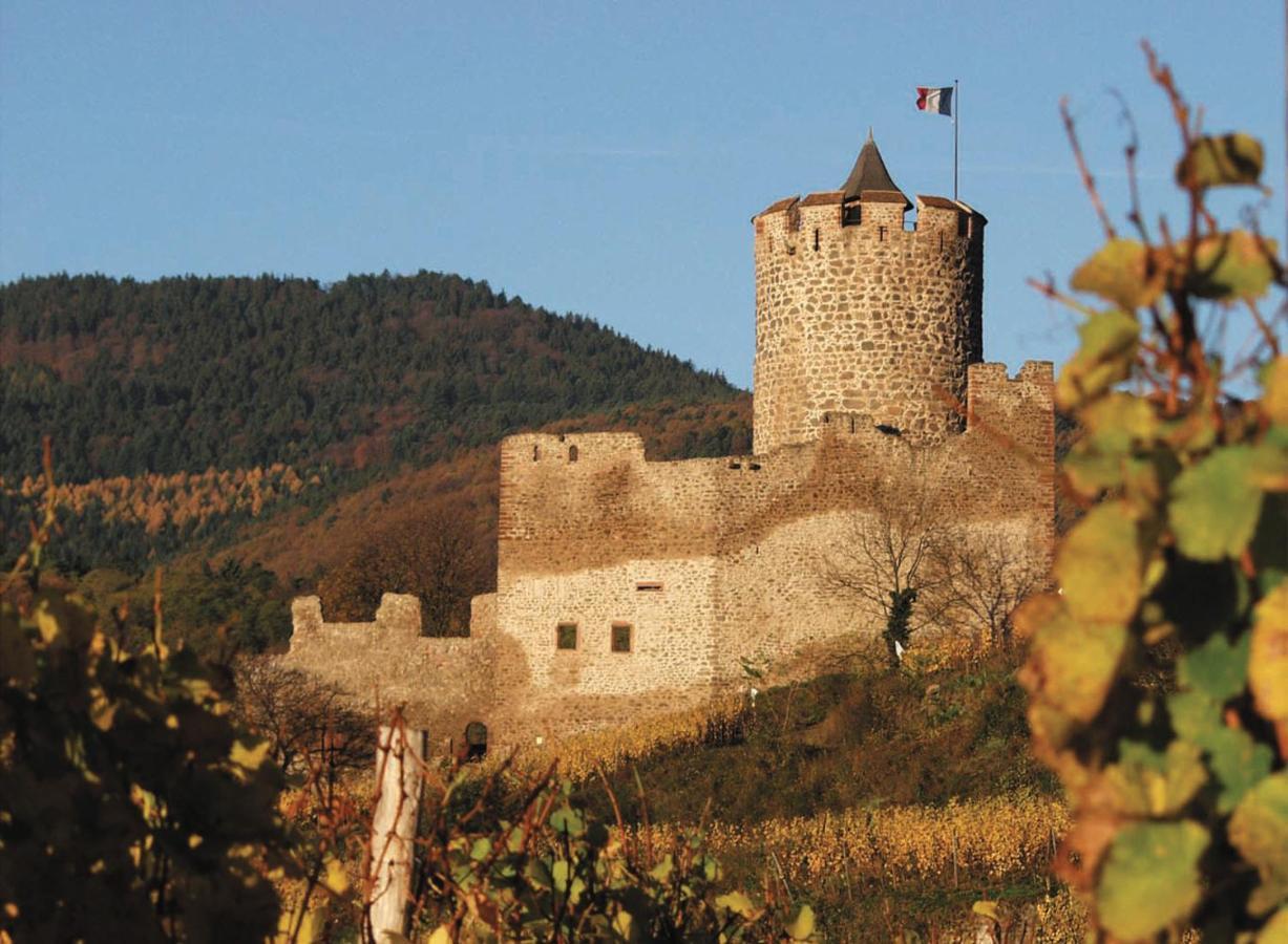 Houssen/Colmar: « Chez Lin'Doux », Le Nid Alsacien Διαμέρισμα Εξωτερικό φωτογραφία