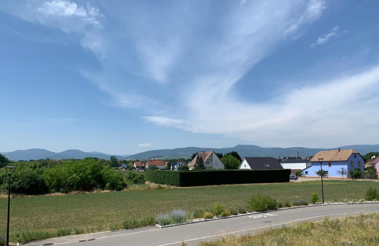 Houssen/Colmar: « Chez Lin'Doux », Le Nid Alsacien Διαμέρισμα Εξωτερικό φωτογραφία
